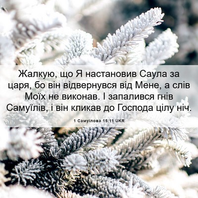Picture 06 - 1 Самуїлова 15:11 UKR - Жалкую, що Я настановив - Bible Verse Picture