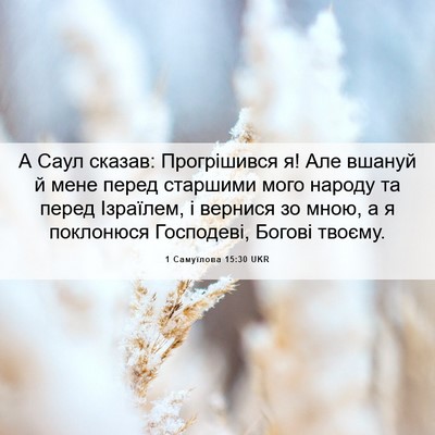 Picture 06 - 1 Самуїлова 15:30 UKR - А Саул сказав: Прогрішився - Bible Verse Picture