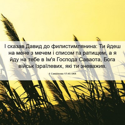 Picture 06 - 1 Самуїлова 17:45 UKR - І сказав Давид до - Bible Verse Picture