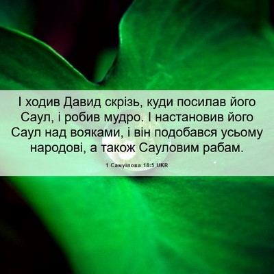Picture 06 - 1 Самуїлова 18:5 UKR - І ходив Давид скрізь, куди - Bible Verse Picture