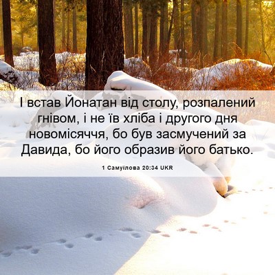 Picture 06 - 1 Самуїлова 20:34 UKR - І встав Йонатан від столу, - Bible Verse Picture