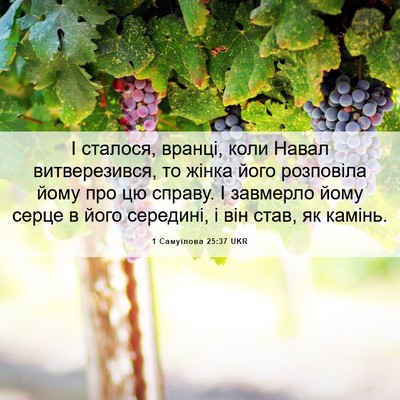 Picture 06 - 1 Самуїлова 25:37 UKR - І сталося, вранці, коли - Bible Verse Picture