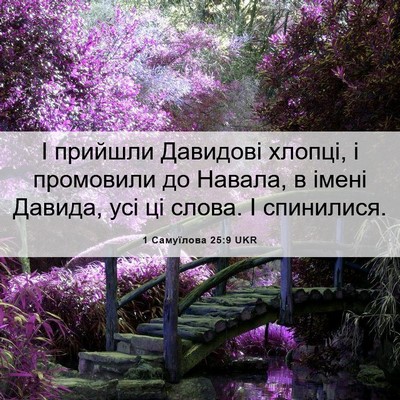 Picture 06 - 1 Самуїлова 25:9 UKR - І прийшли Давидові хлопці, - Bible Verse Picture