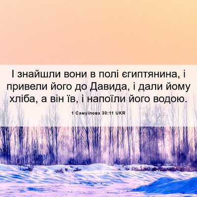 Picture 06 - 1 Самуїлова 30:11 UKR - І знайшли вони в полі - Bible Verse Picture
