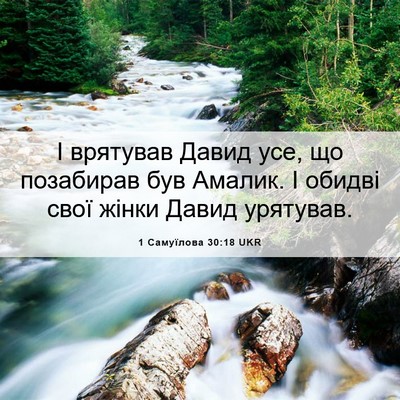 Picture 06 - 1 Самуїлова 30:18 UKR - І врятував Давид усе, що - Bible Verse Picture