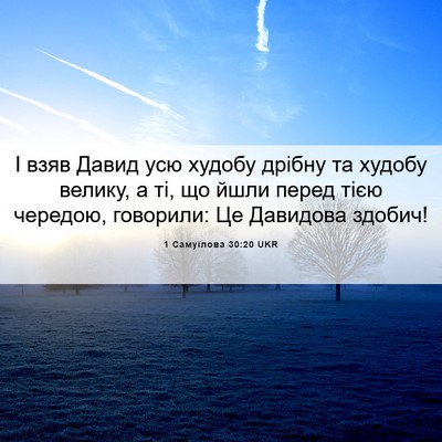 Picture 06 - 1 Самуїлова 30:20 UKR - І взяв Давид усю худобу - Bible Verse Picture
