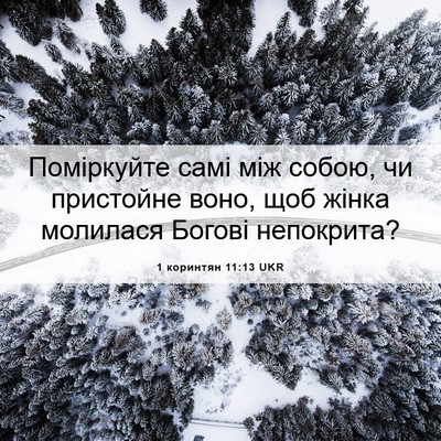 Picture 06 - 1 коринтян 11:13 UKR - Поміркуйте самі між собою, - Bible Verse Picture