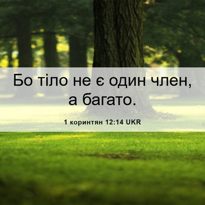 Picture 06 - 1 коринтян 12:14 UKR - Бо тіло не є один член, а - Bible Verse Picture