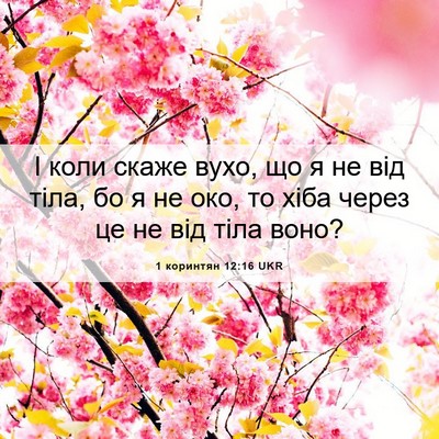 Picture 06 - 1 коринтян 12:16 UKR - І коли скаже вухо, що я не - Bible Verse Picture