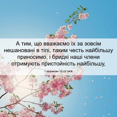 Picture 06 - 1 коринтян 12:23 UKR - А тим, що вважаємо їх за - Bible Verse Picture