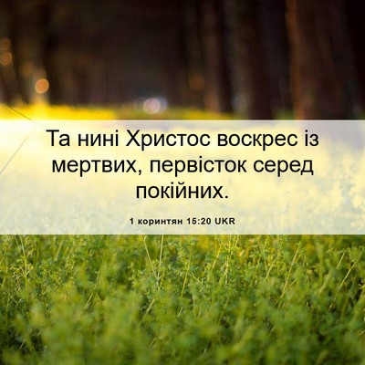 Picture 06 - 1 коринтян 15:20 UKR - Та нині Христос воскрес із - Bible Verse Picture