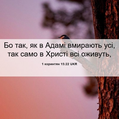 Picture 06 - 1 коринтян 15:22 UKR - Бо так, як в Адамі вмирають - Bible Verse Picture
