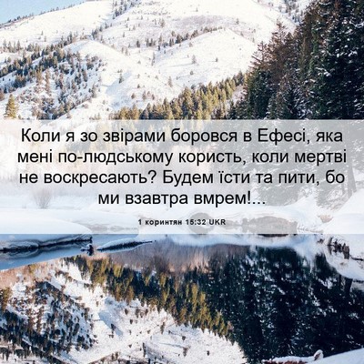 Picture 06 - 1 коринтян 15:32 UKR - Коли я зо звірами боровся в - Bible Verse Picture