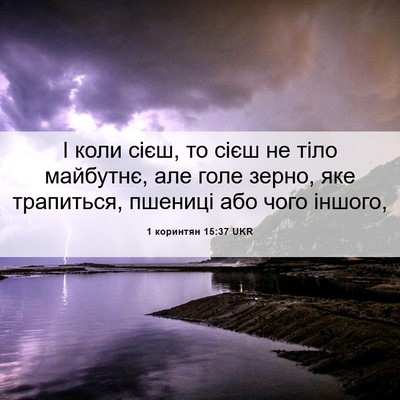 Picture 06 - 1 коринтян 15:37 UKR - І коли сієш, то сієш не тіло - Bible Verse Picture