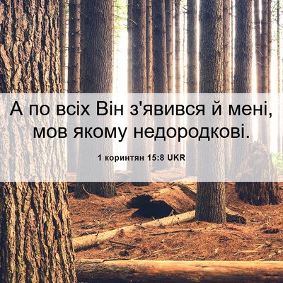 Picture 06 - 1 коринтян 15:8 UKR - А по всіх Він з'явився й - Bible Verse Picture