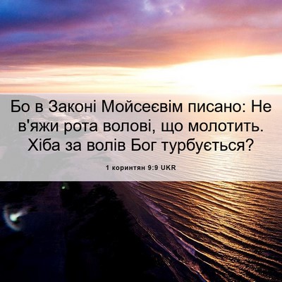 Picture 06 - 1 коринтян 9:9 UKR - Бо в Законі Мойсеєвім - Bible Verse Picture