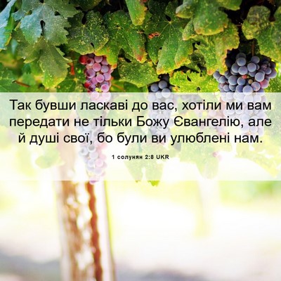 Picture 06 - 1 солунян 2:8 UKR - Так бувши ласкаві до вас, - Bible Verse Picture