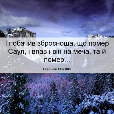 Picture 06 - 1 хроніки 10:5 UKR - І побачив зброєноша, що - Bible Verse Picture