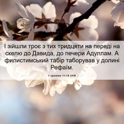 Picture 06 - 1 хроніки 11:15 UKR - І зійшли троє з тих - Bible Verse Picture