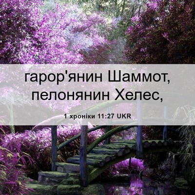 Picture 06 - 1 хроніки 11:27 UKR - гарор'янин Шаммот, - Bible Verse Picture