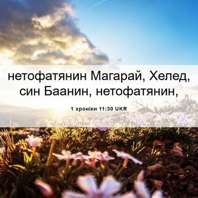 Picture 06 - 1 хроніки 11:30 UKR - нетофатянин Магарай, - Bible Verse Picture