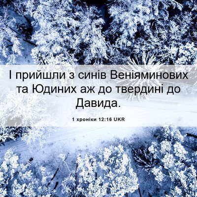 Picture 06 - 1 хроніки 12:16 UKR - І прийшли з синів - Bible Verse Picture