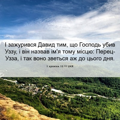 Picture 06 - 1 хроніки 13:11 UKR - І зажурився Давид тим, що - Bible Verse Picture