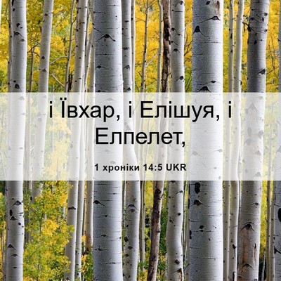 Picture 06 - 1 хроніки 14:5 UKR - і Ївхар, і Елішуя, і - Bible Verse Picture
