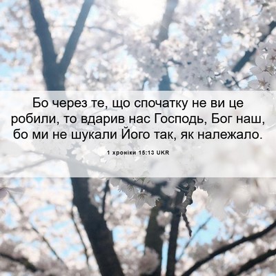 Picture 06 - 1 хроніки 15:13 UKR - Бо через те, що спочатку не - Bible Verse Picture