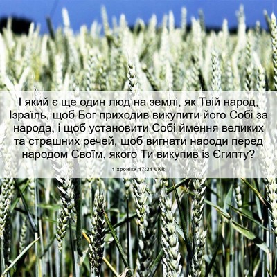 Picture 06 - 1 хроніки 17:21 UKR - І який є ще один люд на - Bible Verse Picture