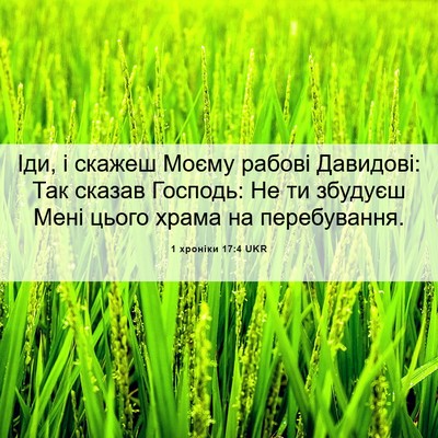 Picture 06 - 1 хроніки 17:4 UKR - Іди, і скажеш Моєму рабові - Bible Verse Picture