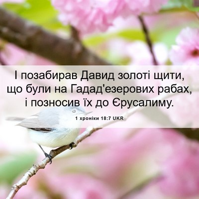 Picture 06 - 1 хроніки 18:7 UKR - І позабирав Давид золоті - Bible Verse Picture