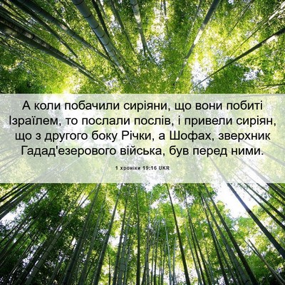 Picture 06 - 1 хроніки 19:16 UKR - А коли побачили сиріяни, що - Bible Verse Picture