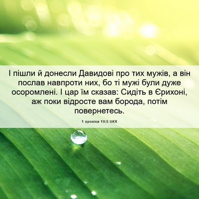 Picture 06 - 1 хроніки 19:5 UKR - І пішли й донесли Давидові - Bible Verse Picture