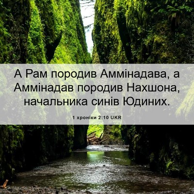 Picture 06 - 1 хроніки 2:10 UKR - А Рам породив Аммінадава, а - Bible Verse Picture