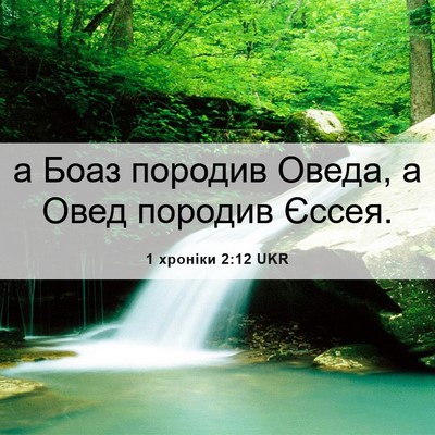 Picture 06 - 1 хроніки 2:12 UKR - а Боаз породив Оведа, а - Bible Verse Picture