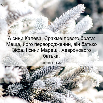 Picture 06 - 1 хроніки 2:42 UKR - А сини Калева, - Bible Verse Picture