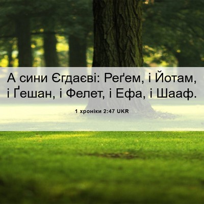 Picture 06 - 1 хроніки 2:47 UKR - А сини Єгдаєві: Реґем, і - Bible Verse Picture