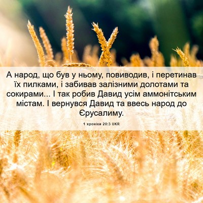 Picture 06 - 1 хроніки 20:3 UKR - А народ, що був у ньому, - Bible Verse Picture