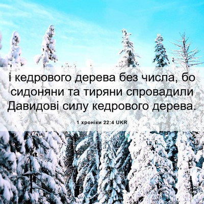 Picture 06 - 1 хроніки 22:4 UKR - і кедрового дерева без - Bible Verse Picture