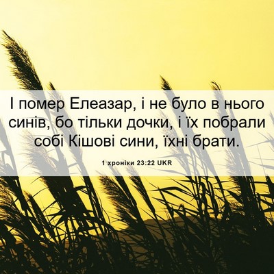 Picture 06 - 1 хроніки 23:22 UKR - І помер Елеазар, і не було в - Bible Verse Picture
