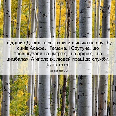 Picture 06 - 1 хроніки 25:1 UKR - І відділив Давид та - Bible Verse Picture