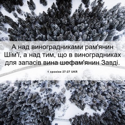Picture 06 - 1 хроніки 27:27 UKR - А над виноградниками - Bible Verse Picture
