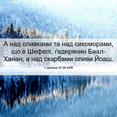 Picture 06 - 1 хроніки 27:28 UKR - А над оливками та над - Bible Verse Picture