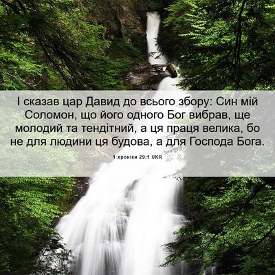 Picture 06 - 1 хроніки 29:1 UKR - І сказав цар Давид до - Bible Verse Picture