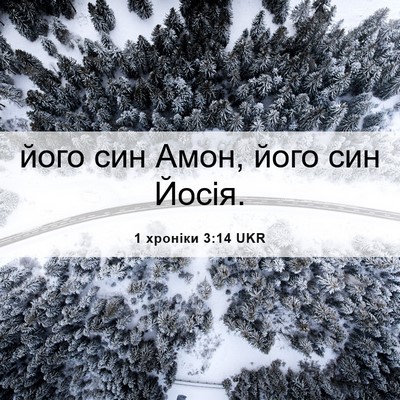 Picture 06 - 1 хроніки 3:14 UKR - його син Амон, його син - Bible Verse Picture