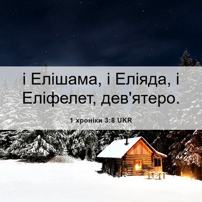 Picture 06 - 1 хроніки 3:8 UKR - і Елішама, і Еліяда, і - Bible Verse Picture