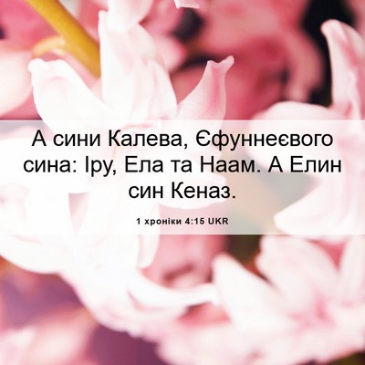 Picture 06 - 1 хроніки 4:15 UKR - А сини Калева, Єфуннеєвого - Bible Verse Picture