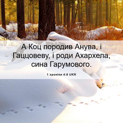 Picture 06 - 1 хроніки 4:8 UKR - А Коц породив Анува, і - Bible Verse Picture