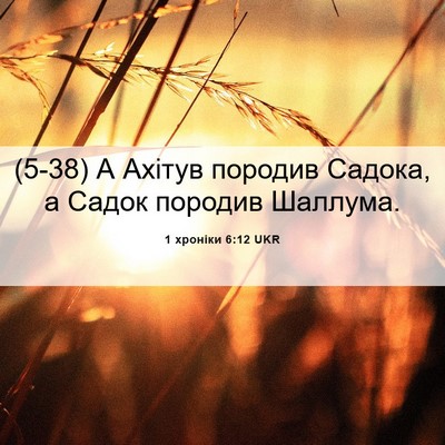 Picture 06 - 1 хроніки 6:12 UKR - (5-38) А Ахітув породив - Bible Verse Picture